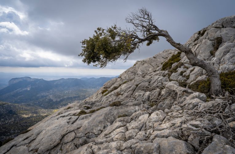 Stockholm: The Importance of Resilience in Overcoming Trauma
